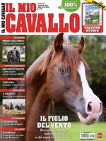 Il mio Cavallo